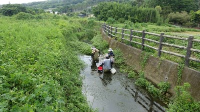 白魚捕撈作業過程重視臺灣白魚棲地