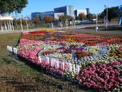 中央公園種植鮮豔的蒔花，歡迎各位市民朋友來中央公園走春_0