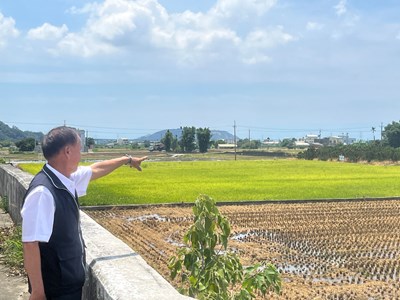 后里區公館里里長馮詠淮指出野豬出沒已收割稻田處_0