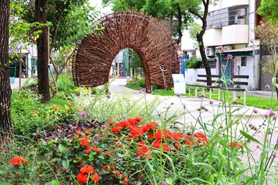 打造綠色宜居花園城！大里長榮園道花之道綻放自然花境