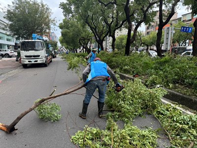 中市建設局救災團隊協助高雄救災-道路沿線樹木斷枝阻礙交通