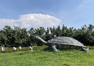 以「生態系野餐」概念邀請市民朋友至大安龜殼生態公園野餐