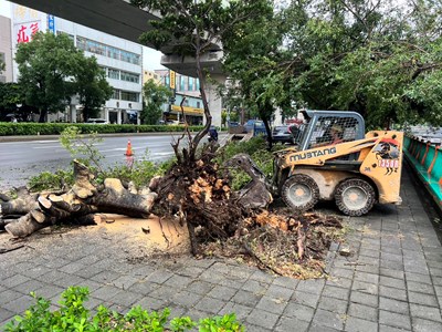 最快效率恢復市容！康芮颱風來襲 中市府跨局處合力保市民生活回歸正常