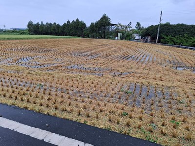 霧峰區1期稻田收割圖-1_0