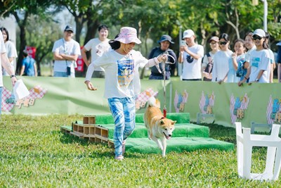 01毛孩「野」要一起Chill中央公園變身寵物派對樂園_0