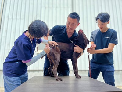 動保處獸醫師幫警犬打疫苗