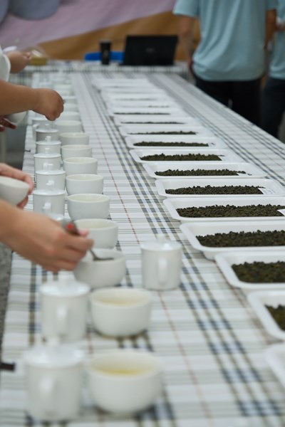 參賽茶樣