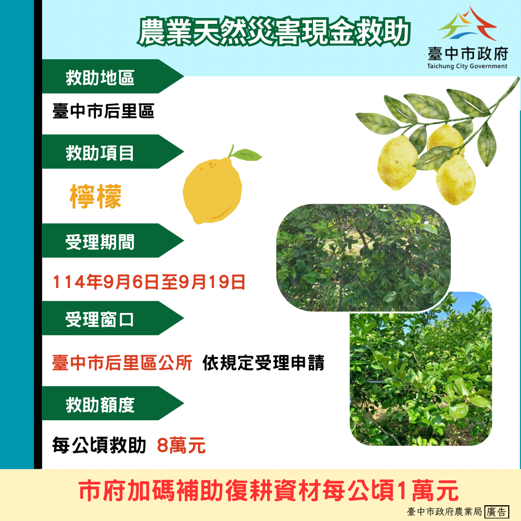 中市后里區檸檬災損 919前可申請現金救助