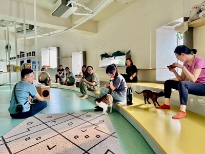 社工自我覺察療癒工作坊在動物之家后里園區開課