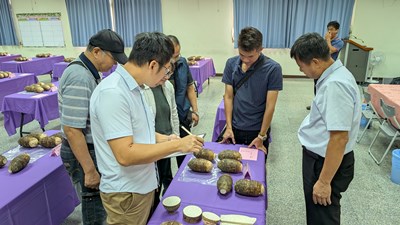 114年度臺中市大安區優質芋頭評鑑前評審會議_0
