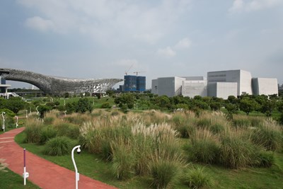 01-中央公園五節芒草花季登場，邀市民秋日賞花野餐享悠閒時光_0