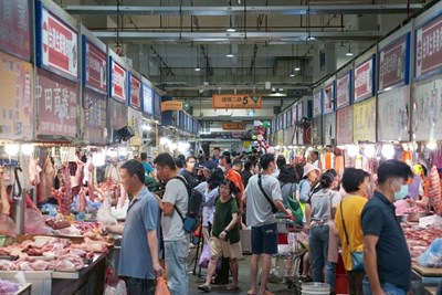 擴大豬肉攤商補助，中市府即日起受理