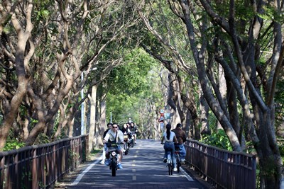 東豐自行車綠廊_0