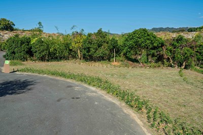 主照-台中再添樹葬新據點，潭子生命紀念館樹葬區啟用_0