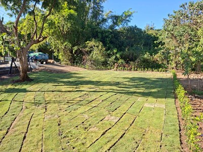 烏日知高圳步道綠美化空間