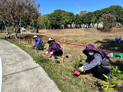 01-中央公園啟動原生植物培育行動！建設局攜手科博館打造都市原生種苗庫