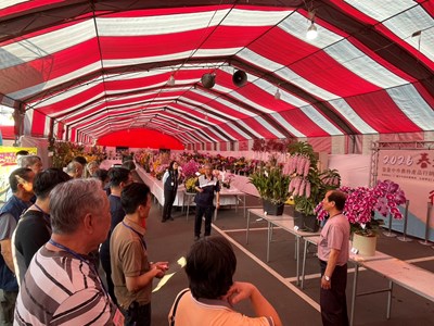 115年度春季蘭花評鑑