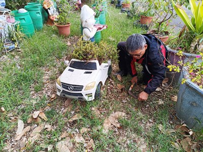 循環創意結合綠意 (3)