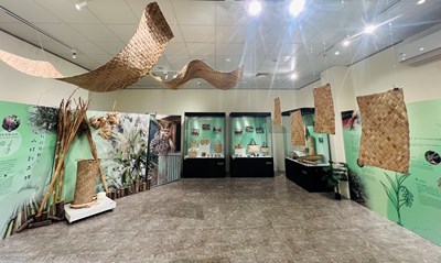 臺中市原文館114年《植‧敘》特展展示空間2.jpg