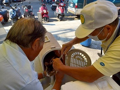 民眾參加活動情形
