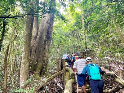 上工囉-透早登山前往施作位置