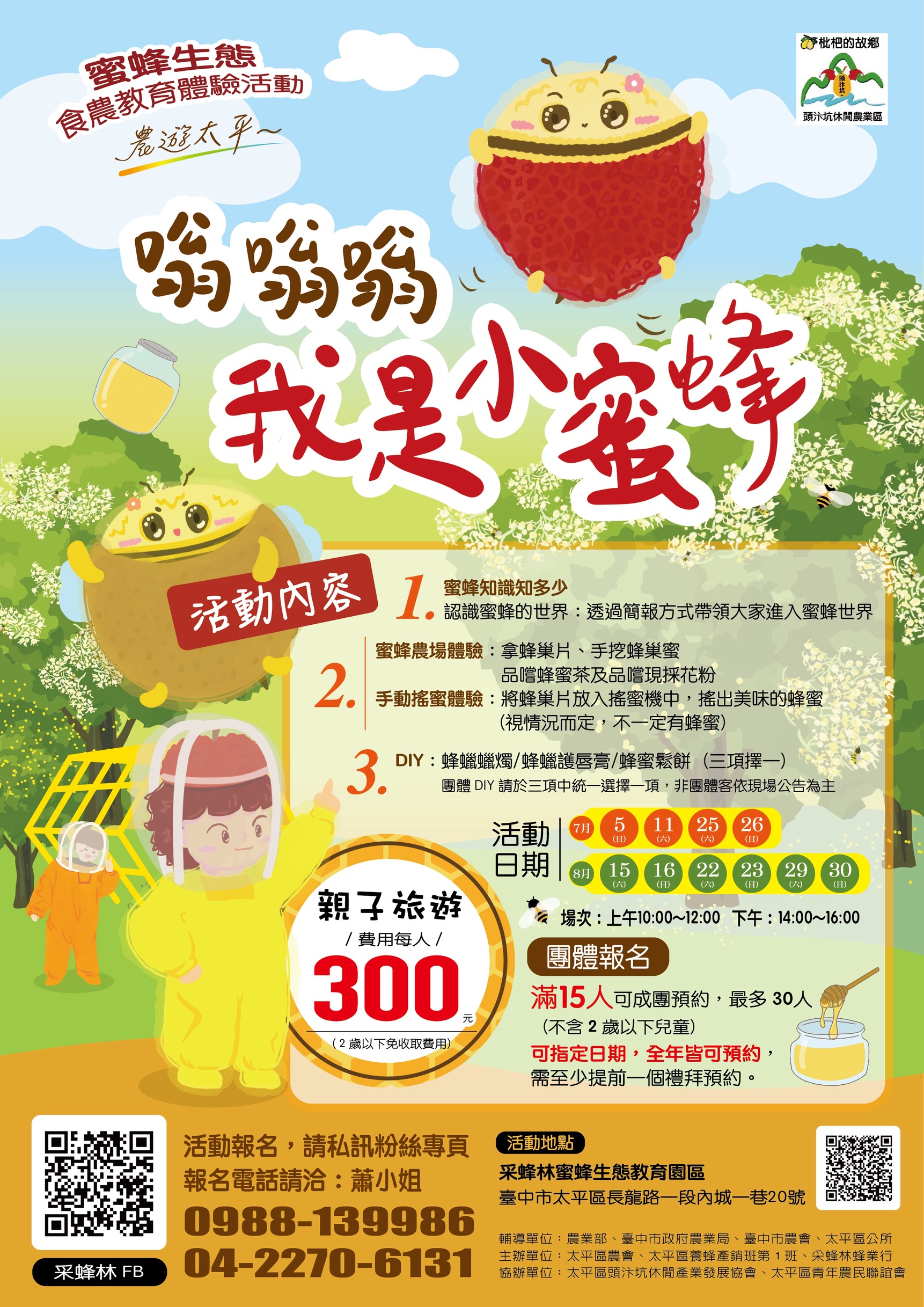 嗡嗡嗡我是小蜜蜂.jpg