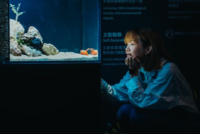 視線得以與生物齊平的距離，近距離觀察每種生物的特殊習性