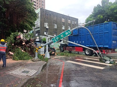 該批樹木範圍於113年期間發生樹木倒塌情況影響路邊停車及路口號誌