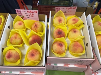 梨山水蜜桃外表飽滿渾圓、甜蜜多汁，深獲臺北市民喜愛