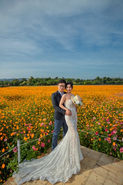 2025新社花海暨臺中國際花毯節絕美婚紗攝影1