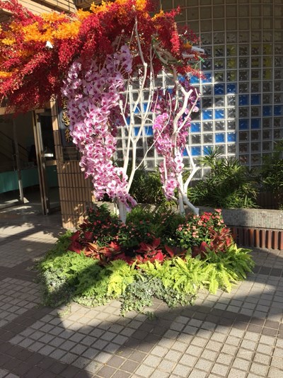 中市花現新生活活動興大登場 發現花卉居家應用多樣性