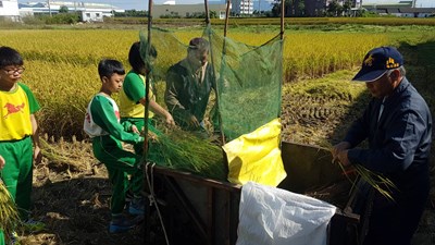 中市續推校園食農教育 外埔馬鳴國小與葳格高中交流同樂