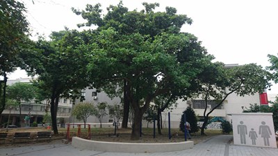 西屯區大仁公園景觀改造 設施減量保留大片綠地