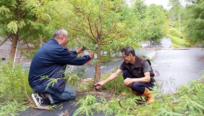 農業局辦理造林實務講座  教導正確造林知識