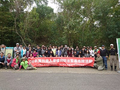 移除小花蔓澤蘭  中市農業局結合民間清除約800公斤