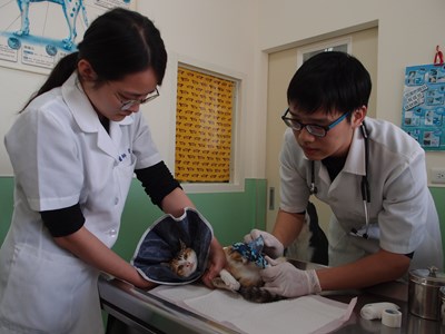 中市訂「獸醫診療機構設置標準」   未符設置規定將開罰