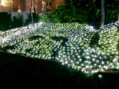 柳川耶誕燈海民眾拍照踩踏 市府籲公德心愛惜