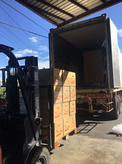 中市椪柑首次外銷加拿大 農產國際知名度版圖再擴大