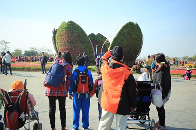 貼心導覽 內埔國小特教生快樂遊台中花毯節