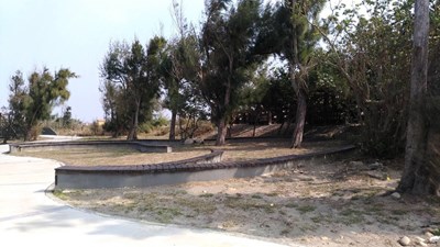 高美遊客中心樹木冬季落葉 建設局：植栽均保活階段 若枯死將速補植