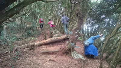 山區救援科技化 中市消防局GPS迅速尋獲橫嶺迷路登山客