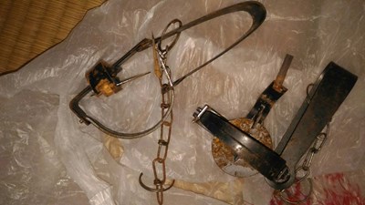 和平區若茵農場違法使用捕獸鋏  最高可處7萬5千元罰鍰