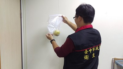 中市檢驗年節食品 1件葡萄柚不合格移外縣市源頭調查