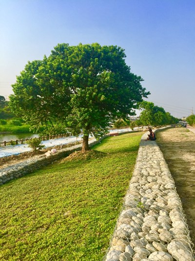 中市水域風貌整治再添成果 筏子溪迎賓水岸廊道3月啟用 