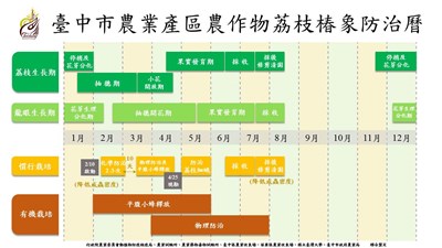 中市製作荔枝椿象防治曆  2月啟動全市防治工作