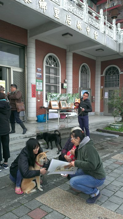 守護石虎健康   中市府前進石虎熱區施打犬貓疫苗