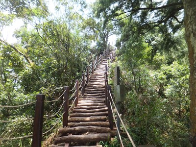 大坑2、4、5、6、10號步道完成修復 春節登山好去處