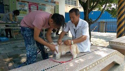 動保處呼籲飼主帶毛小施打狂犬病疫苗
