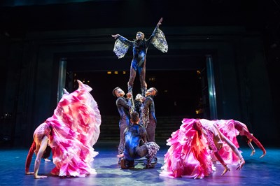 創造焦點今年首度入選臺中市傑團