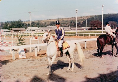 阿拉伯公馬「安曼」